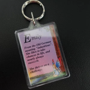 Emily Personalized Keychain Plastic Novelty Name Definition Meaning Gift - Picture 1 of 6