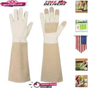 Rose Pruning Gloves - Thorn Proof Leather Gauntlet for Ultimate Hand Protection - Picture 1 of 8