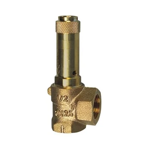 Riegler 105601 Corner Safety Valve, Liquids, G 1, Trigger Pressure 10 bar - Picture 1 of 1