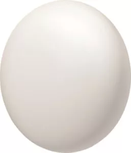 Neu 2024 Google - Nest Temperatursensor (2. Generation) 1er-Pack und 3er-Pack - Bild 1 von 9