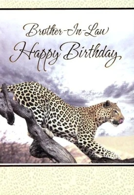 MILL BROOK Brother-In-Law Happy Birthday - Birthday Greeting Card - 06587