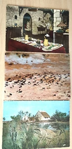 AK   3 x Carmague  -  gelaufen - Bild 1 von 2
