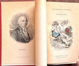 1840s Jardine Naturalist's Library Entomology FOREIGN BUTTERFLIES 30 HC Plates - Picture 1 of 23