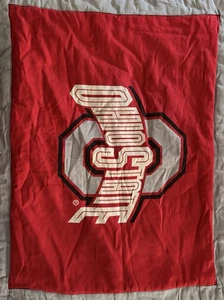 Ohio State Sheet Set And Dust Ruffle. Queen Size - Picture 1 of 3