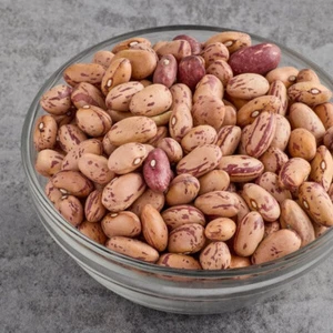 Bulk Dried Cranberry Beans (select quantity below) - Picture 1 of 2