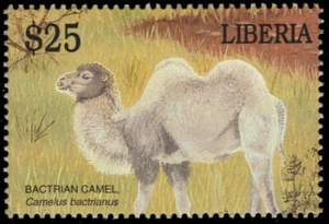 LIBERIA 4384 - Bactrian Camel "Camelus bactrianus" (pb44544) - Picture 1 of 1