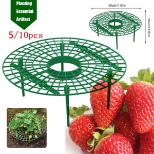 Strawberry rack balcony planting rack fruit rack flower climbing vine column - Foto 1 di 14