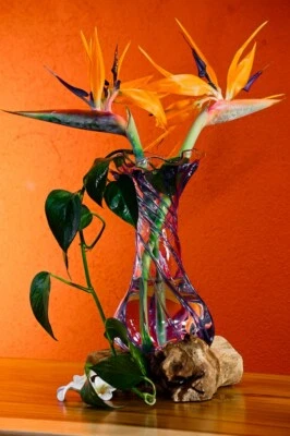 Geschmolzenes Glas auf Wurzelholz Bali Vase Glasschale Blumenvase Teak Holz - Bild 1 von 3