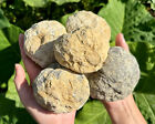 JUMBO Break Your Own Geodes Vente en gros - Cristaux de calcite marocains non ouverts