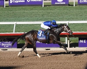 COLOR PHOTO IMMERSIVE JUVENILE FILLY WINNER - Picture 1 of 1