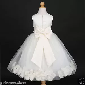 Elfenbein Festzug Hochzeit Blume Mädchen Blütenblätter Kleid 12M 18M 2 3/4 6 8 10-viele Farben - Bild 1 von 29