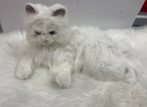 Lulu My Cuddlin Kitty White Cat FurReal Friends Hasbro Interactive Works - Picture 1 of 6