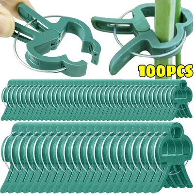100 PIEZAS CLIPS GRANDES PARA PLANTAS Y JARDINES Soporte Tomate Vegetal Enrejado Cordel Corbatas Foto 1 de 4