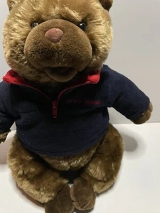 AE American Eagle Plush Brown Bear Blue Performance Fleece Stuffed Animal 17" - Picture 1 of 2