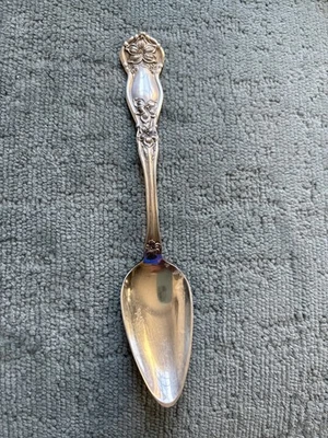 VINTAGE  Silverplated Orange Blossom SPOON 6" WM ROGERS&SON SILVER PLATE - AA - Image 1 of 3