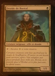 4 * Druide de Boréal Français - 4 * French Boreal Druid - Magic Mtg - Imagen 1 de 1