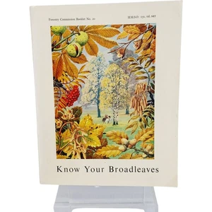 Know Your Broadleaves Forestry Commission Booklet 1968 Illustrated - Picture 1 of 11