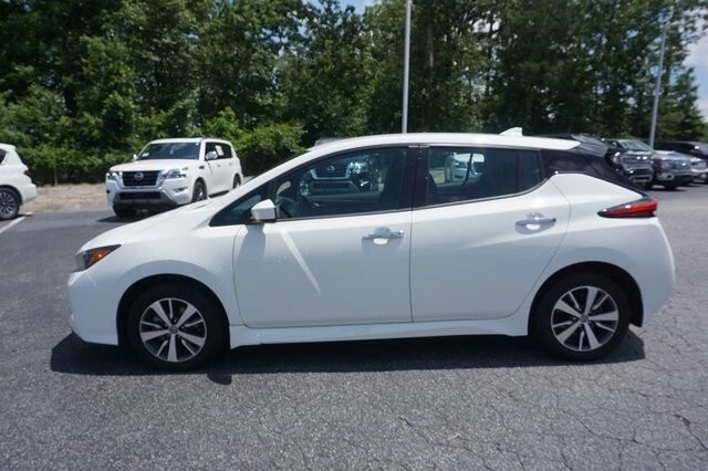 Nissan Leaf 2011-2023 se adapta a cristal puerta delantera izquierda lado conductor FD25050GTY Foto 1 de 1