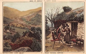 BETWS-Y-COED LLEDR VALLEY & NATIONAL DRESS CAERNARVONSHIRE POSTCARD c.1920'S - Picture 1 of 2