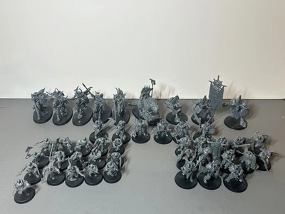 Ejército Esclavos de la Oscuridad - Warhammer Age of Sigmar Chaos Army - Warriors Lord +! Foto 1 de 4