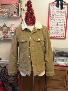 Hollister Herren hellbraun Cord Sherpa gefüttert Jacke Mantel XS - Bild 1 von 3