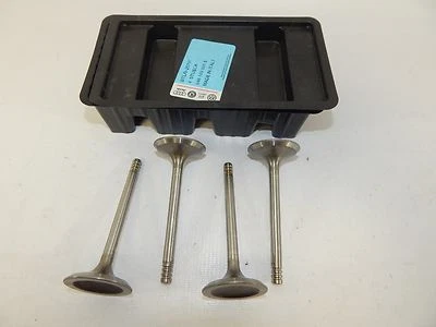 Nuevo OEM 1993-1999 Volkswagen VW Jetta Golf Válvula de admisión de admisión de escape 048109601E Foto 1 de 4