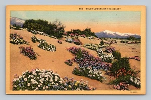 Vintage Leinen Postkarte Wilde Blumen in der Wüste Western Verlag - Bild 1 von 2