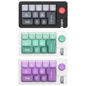 Mini USB-C Mechanical Numeric Keypad RGB Backlight Wired 13 Keys Numpad Ke W3N8 - Picture 1 of 18