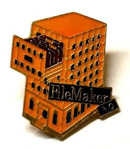 FileMaker 4.0 Database Pin (H20) - Picture 1 of 1