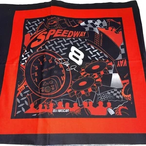 VTG NEW FABRIC PILLOW PANEL NASCAR DALE EARNHARDT JR #8 4 SQUARES 2003 - Picture 1 of 4