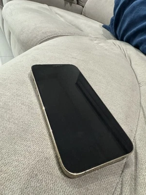 Apple iPhone 12 Pro Max - 256GB - Pacific Blue - Unlocked - Good Condition - Image 1 of 4