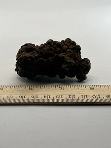 Coprolite Genuine Fossilized Feces Poop Dung  2.5”X 1.75 X 1.75” C44 - Picture 1 of 4