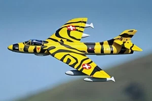 Dynam Hawker Hunter 4S 70mm 12-Blade RC Beginner EDF Jet w/ Flaps - Picture 1 of 26