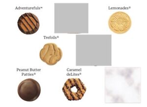 3 Packages of 2024 Girl Scout Cookies ~ Choose your flavors mix