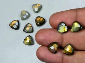 10Pcs Natural Golden Flash Labradorite Cut Trillion Gemstone HB06-07 J993