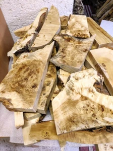 Morso pioppo 5 kg pioppo burl legno per bordi legno tornito - Foto 1 di 13