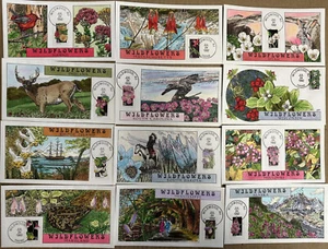 COLLINS HANDPAINTED WILDFLOWERS CMPLT SET 50 FDCs ALLOVER DETAILED CACHETS - Picture 1 of 5