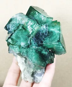 Seltene größere Partikel transparent grüner Würfel Fluorit Kristall Mineral Probe - Bild 1 von 11