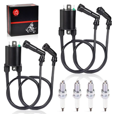 Bobina de encendido y bujía clásica 2003-2007 para Kawasaki VN1600 Vulcan 1600 Foto 1 de 4