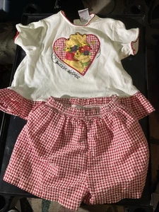 Vintage Winnie The Pooh The Disney Store 2 Piece Outfit Pooh with Flowers Size 5 - Picture 1 of 13