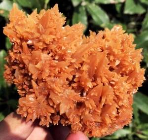 327,0g TOP!!! Neuer Fund rohe natürliche braune Jiejingshi Kristall Proben ie3112 - Bild 1 von 12