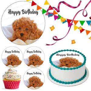 Cockapoo Dog Cake Topper Party Decoration Edible Birthday Celebration Cupcake - Picture 1 of 15