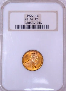 1929 P Lincoln Wheat Cent NGC MS67RD Bright Red Superb Luster, PQ #43D - Picture 1 of 4
