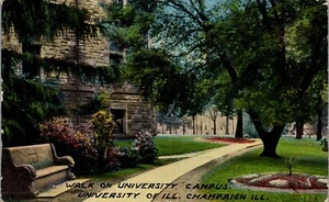 Vintage Postcard Senior Bench University of Urbana Champaign IL Posted 1911 - Picture 1 of 3