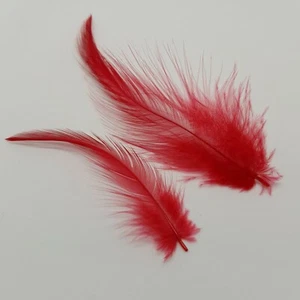 GALLO ROSSO / COCK HACKLE 50 PIUME FLYNSCOTSMAN TACKLE SCIOLTO - Foto 1 di 2