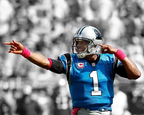 Carolina Panthers CAM NEWTON 8x10 Photo Spotlight Football 1st Down Print Poster Cover