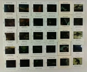 30 Finley-Holiday Slides Color  Queen Mary  Spruce Goose  Page Museum Vintage   - Picture 1 of 5