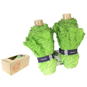 Vegetable look Umbrella Lettuce Green Folding Made in Japan Tokyo Gift Surprise - Picture 1 of 12