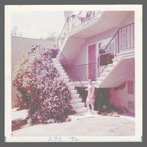 Found Photo 1972 Woman In Front of Apartment Big Bush Purple Flowers 3.5 x 3.5 - Picture 1 of 2