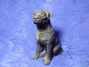 Sandicast Black Labrador  - Picture 1 of 5